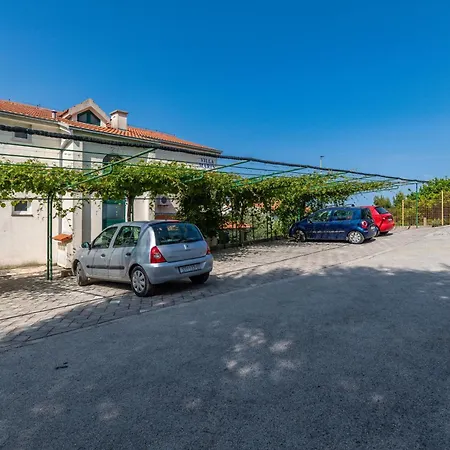 Balica Rat 4868d * Celina